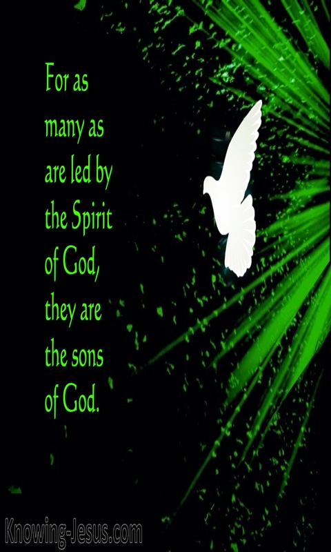 Romans 8:14 You Have Received A Spirit Of Adoption As Sons (green)